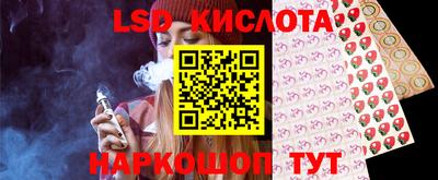 шишки Можга